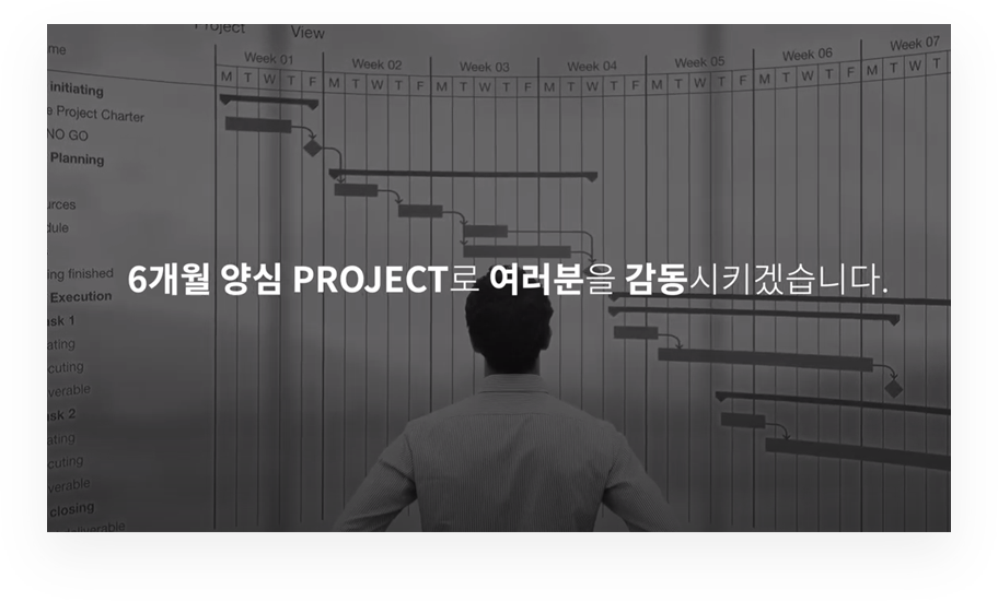6개월 양심 프로젝트 영상